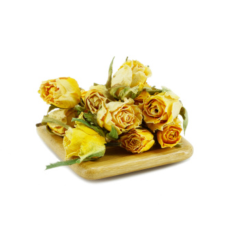 Buds of yellow Iranian rose|Flowers of plants