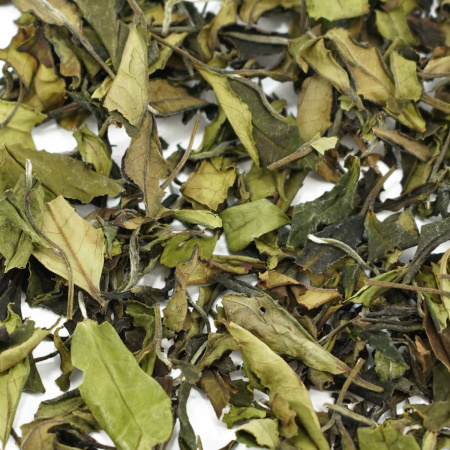 Buy, white tea Sochi White Tea