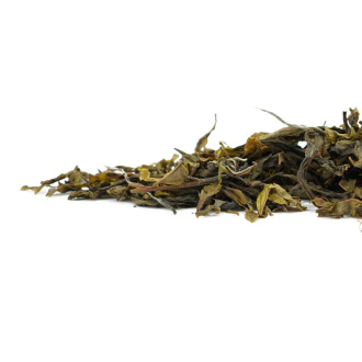 Loose Leaf Pu-erh Tea - Шэн пуэр 2023 г. "Мэнсун лаошу хуанцзин е" («Золотые листья» летнего сбора старых деревьев Мэнсун), 