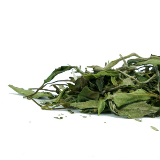 Buy, white tea Lanhua Xiang Mudan (Orchid Scented Peony)