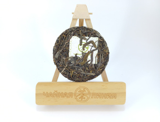Pressed Raw Pu-erh Tea - Гушу шэн пуэр "Наньбэнь Лаочжай гушу" (с многовековых деревьев из Наньбэнь Лаочжай) марки "Чайная Линия" 100 гр, 