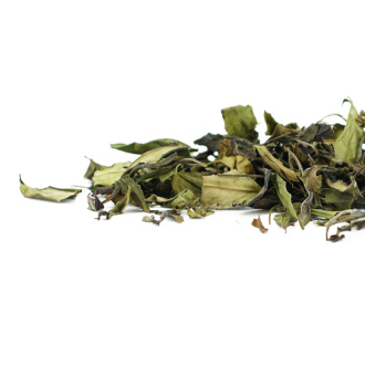 Buy, white tea Sochi White Tea