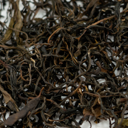 Sochi Oolong Tea - Sochi green gaba, 
