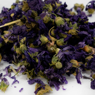 Dried Mallow Flowers|Flowers of plants