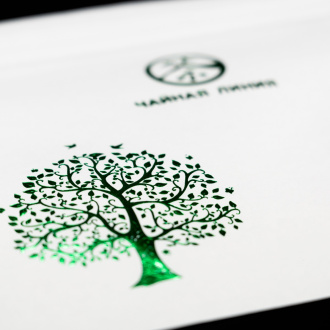 Pu-erh tea cake envelope 200g "Tea Line", 21x21 cm. Price: ₽80 rub.