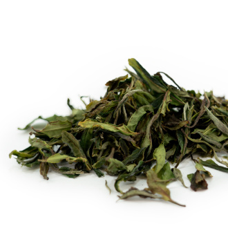 Buy, white tea Sochi April white tea tips
