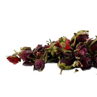 Red Chinese rose buds|Flowers of plants