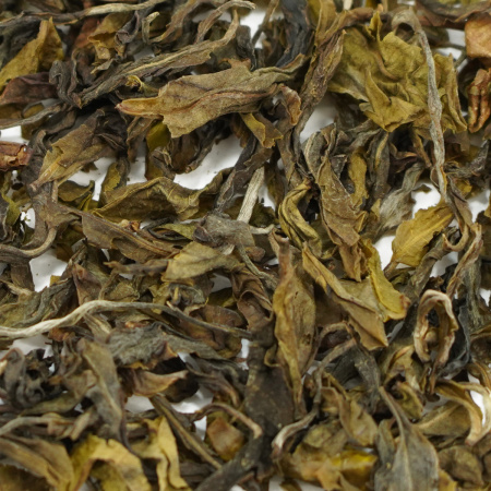 Loose Leaf Pu-erh Tea - Sheng pu'er 2023 "Mengsun laoshu huangjing ye" ("Golden leaves" of the summer harvest of old Mengsun trees), 