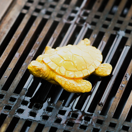 Large color-changing tea toy "Bronze Turtle". Price: ₽1,430 rub.