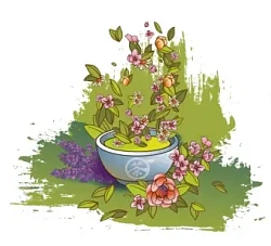 Flower and Herbal Teas